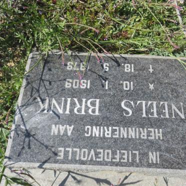 BRINK Neels 1909-1979