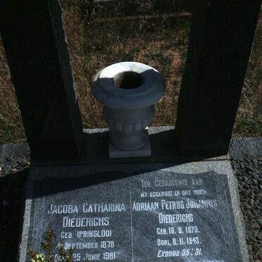 DIEDERICHS Adriaan Petrus Johannes 1873-1943 &amp; Jacoba Catharina PRINSLOO 1878-1961