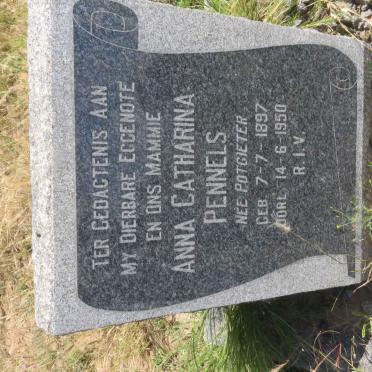 PENNELS Anna Catharina nee POTGIETER 1897-1950