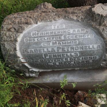 PENNELLS Isabella Petronella nee BOOYENS 1899-1946