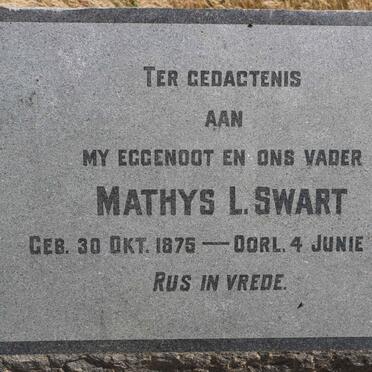 SWART Mathys L. 1875-1920