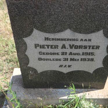VORSTER Pieter A. 1915-1938
