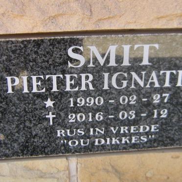 SMIT Pieter Ignatius 1990-2016