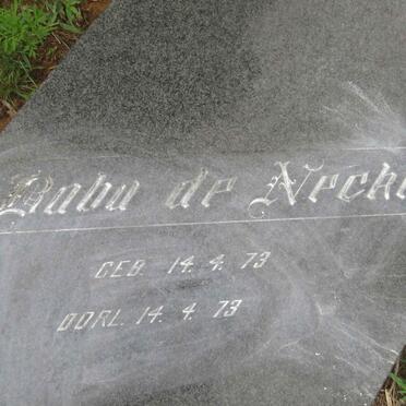 NECKER, de 1973-1973