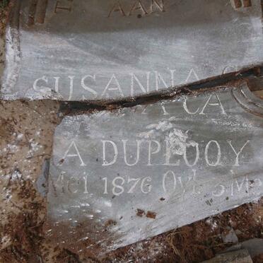 PLOOY Susanna Carolina, du 1876-1914 