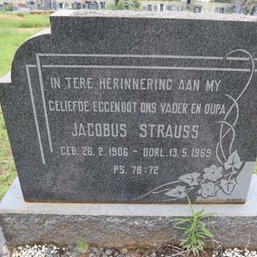 STRAUSS Jacobus 1906-1969
