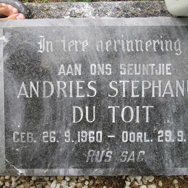 T - Vanne :: Surnames - T