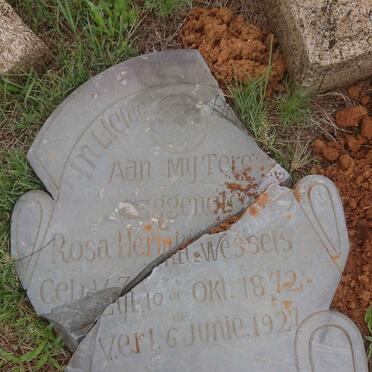 WESSELS Rosa Hermina 1872-1927