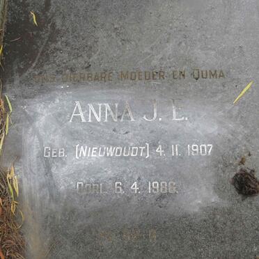 WALT Dirk J., v.d. 1906-1987 &amp;  Anna J.E. NIEUWOUDT 1907-1986