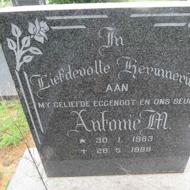 ZYL Antonie M., van 1963-1988 