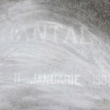 ? Chantal 1984-