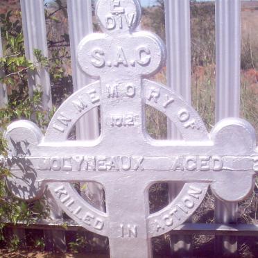 MOLYNEAUX