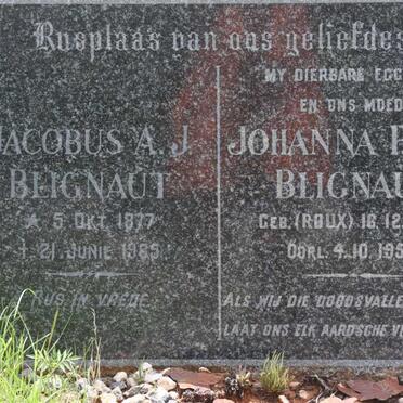 BLIGNAUT Jacobus A.J. 1877-1965 &amp; Johanna P.M.F. ROUX 1881-1950