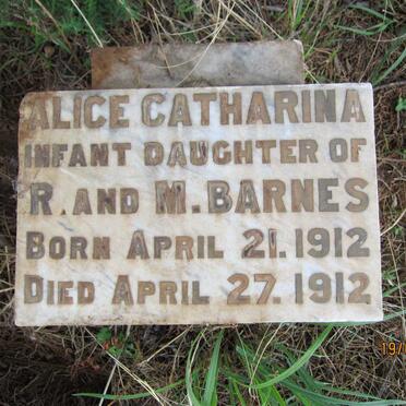 BARNES Alice Catharina 1912-1912