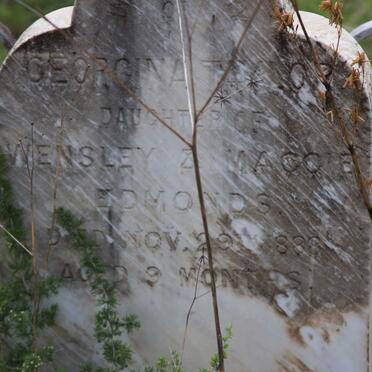 EDMONDS Georgina Taylor -1888