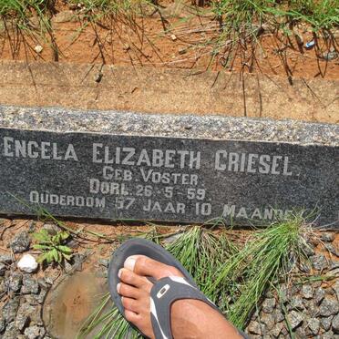 GRIESEL Engela Elizabeth nee VOSTER -1959
