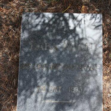 ? Johannes 1897-1969 &amp; ? Johanna 1886-1974 :: ? Koch 1975