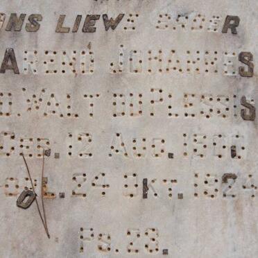 PLESSIS Barend Johannes v.d. Walt, du 1900-1924