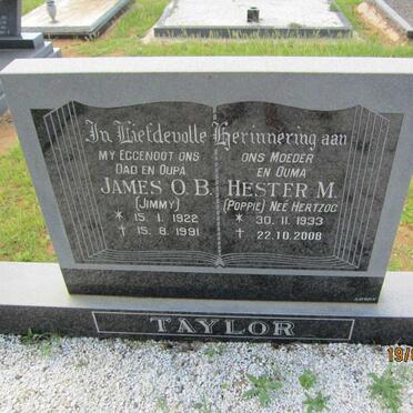 T - Vanne :: Surnames - T