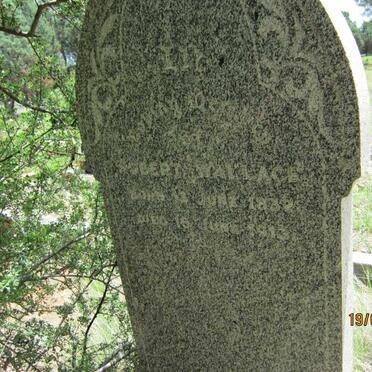 WALLACE Robert 1882-1913