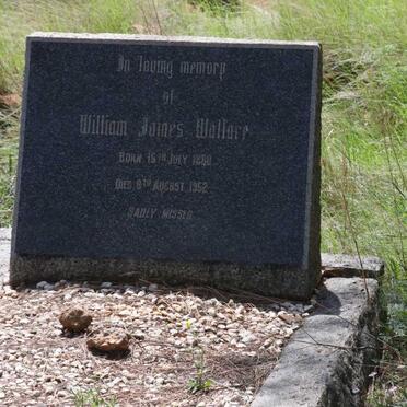 WALLACE William James 1880-1952