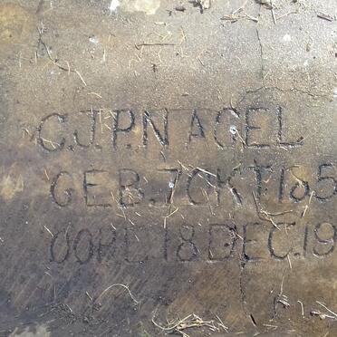 NAGEL C.J.P. 1853-1938