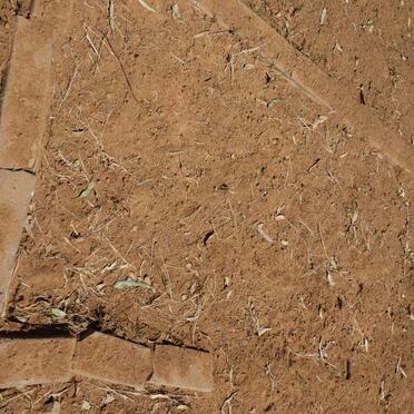 Free State, KOPPIES district, Humphries 242, farm cemetery