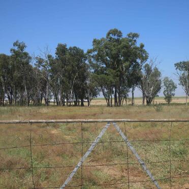 1. Overview / Oorsig