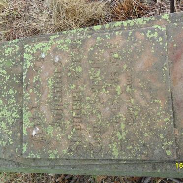 HERBST Johannes Stephanus 1843-1928