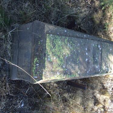 HERBST Johannes Stephanus 1843-1928