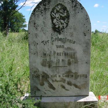 PRETORIUS W.J.