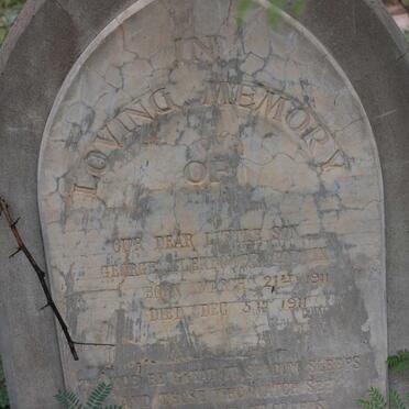 GODWIN George Glendower 1911-1911