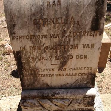 LOTRIET Cornelia