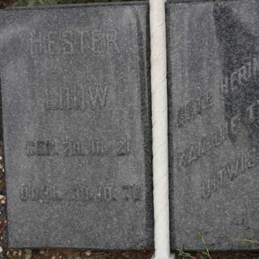 LOUW Hester 1921-1970