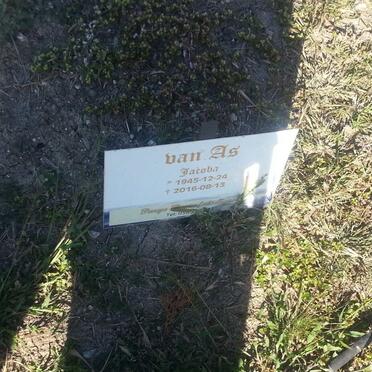 A - Surnames :: Vanne - A