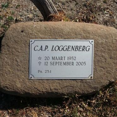 LOGGENBERG C.A.P. 1952-2005