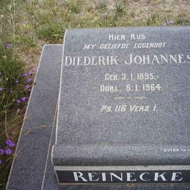 REINECKE Diederik Johannes 1895-1964