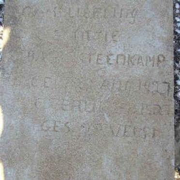 STEENKAMP "Baby" 1927-1927