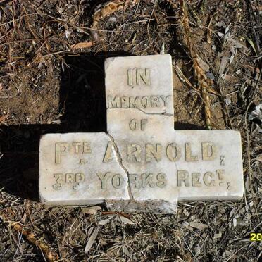 ARNOLD