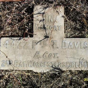DAVIS T.