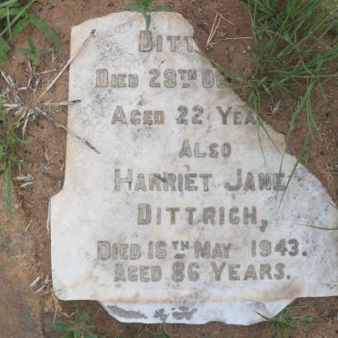 DITTRICH Harriet Jane -1943 :: DITTRICH ?