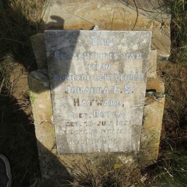 HAYWARD Johanna E.S. nee BOTHA 1857-1918