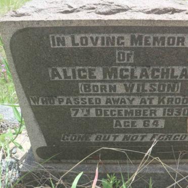 MCLACHLAN Alice nee WILSON -1930