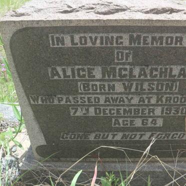 MCLACHLAN Alice nee WILSON -1930