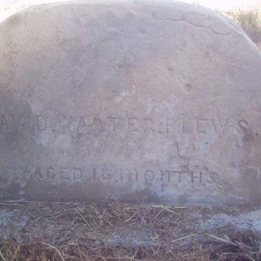 PLEWS David Walter