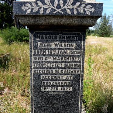 WILSON Amelia Caroline 1867-1927 :: WILSON William Hill 1896-1915 :: WILSON Charles Samuel 1900-1918 :: WILSON Harold Ernest John 1905-1927