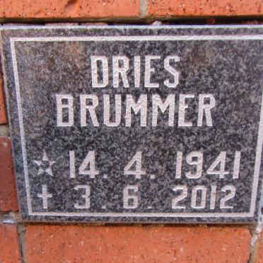 BRUMMER Dries 1941-2012