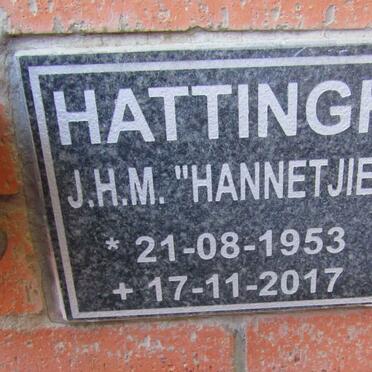 HATTINGH J.H.M. 1953-2017