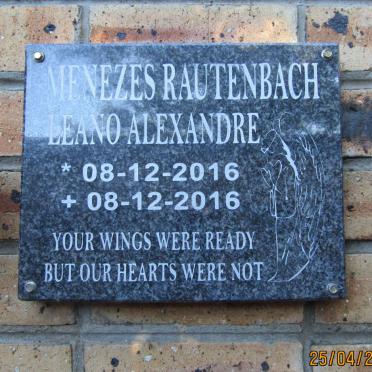 MENEZES RAUTENBACH Leano Alexandre 2016-2016