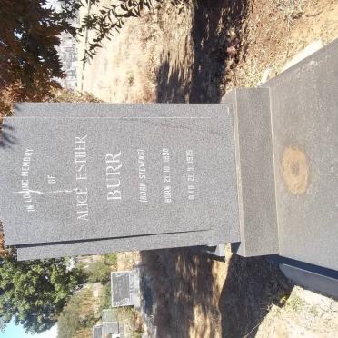 BURR Alice Esther nee STEVENS 1890-1975